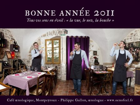 Bonne année 2011