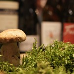 Apéro-oenologique vins & champignons